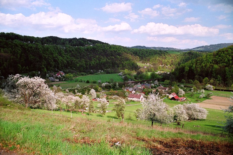 Fotka obce Rakousy